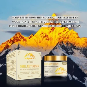 Private Label 100% Himalayan Shilajit Resin Syrup auto draft